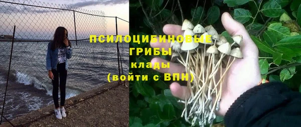 mdpv Алагир
